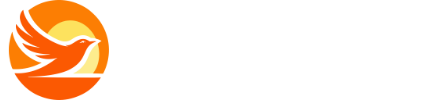 Recoil Now logo and name.